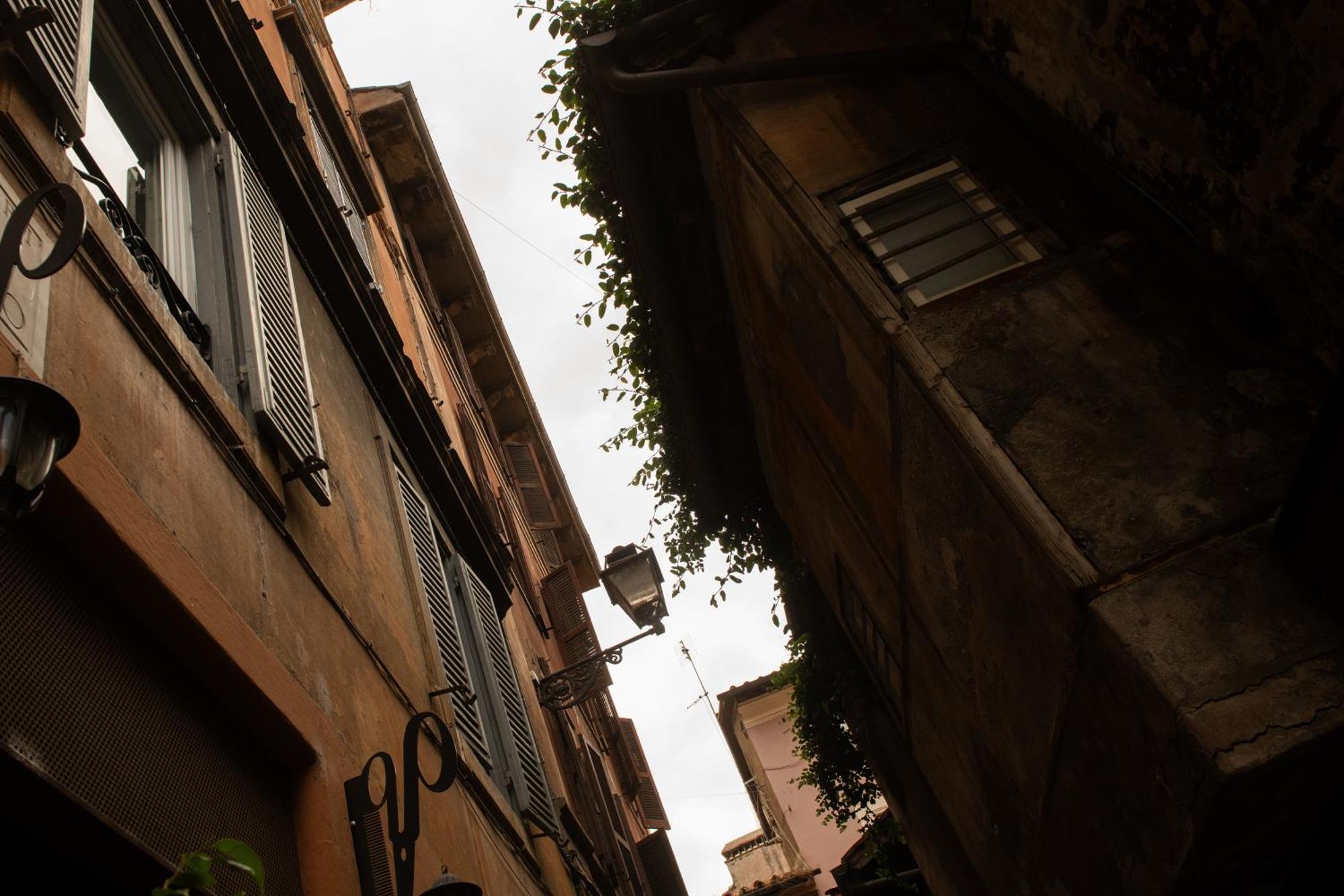 Colosseum View Accomodation Roma Eksteriør bilde